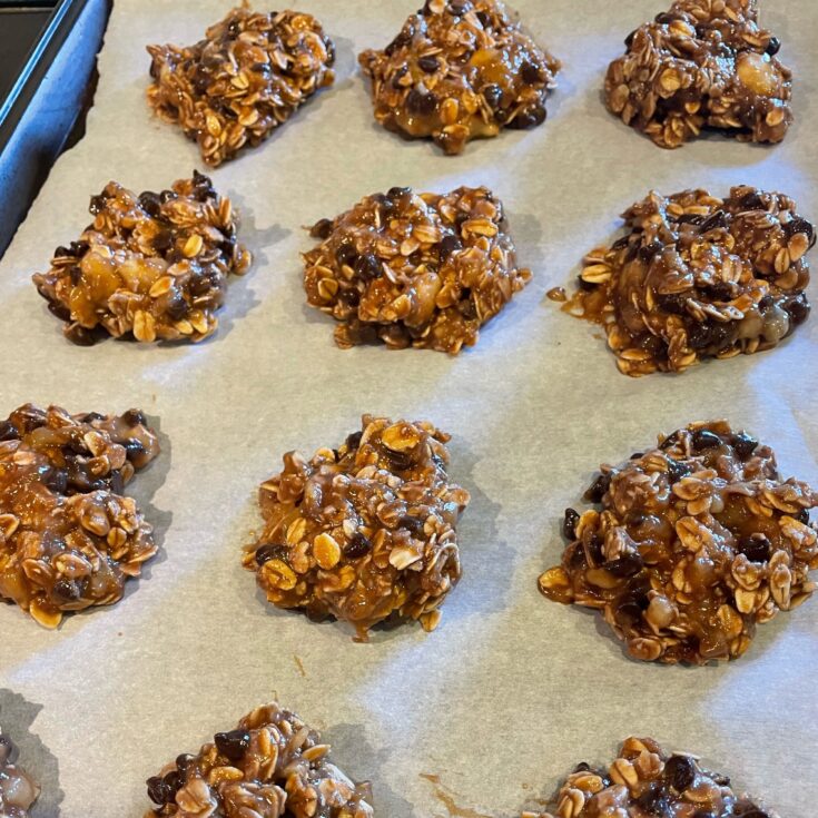 Chocolate Chip Peanut Butter Banana Cookies